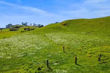 0n Mangorei Road, New Plymouth