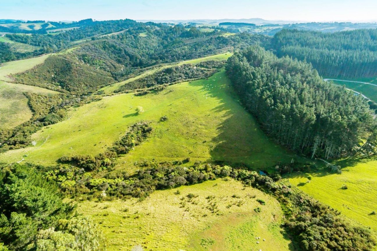 Owners Leaving NZ – 29ha Dairy Flat Landbank - Widok 5