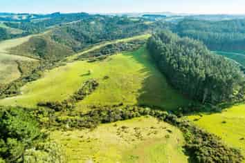 126 Richards Road, Dairy Flat