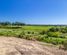 245B Wallace Road, Levin, Horowhenua, Manawatu / Whanganui