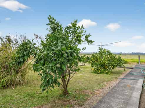 4315 State Highway 12, Ruawai
