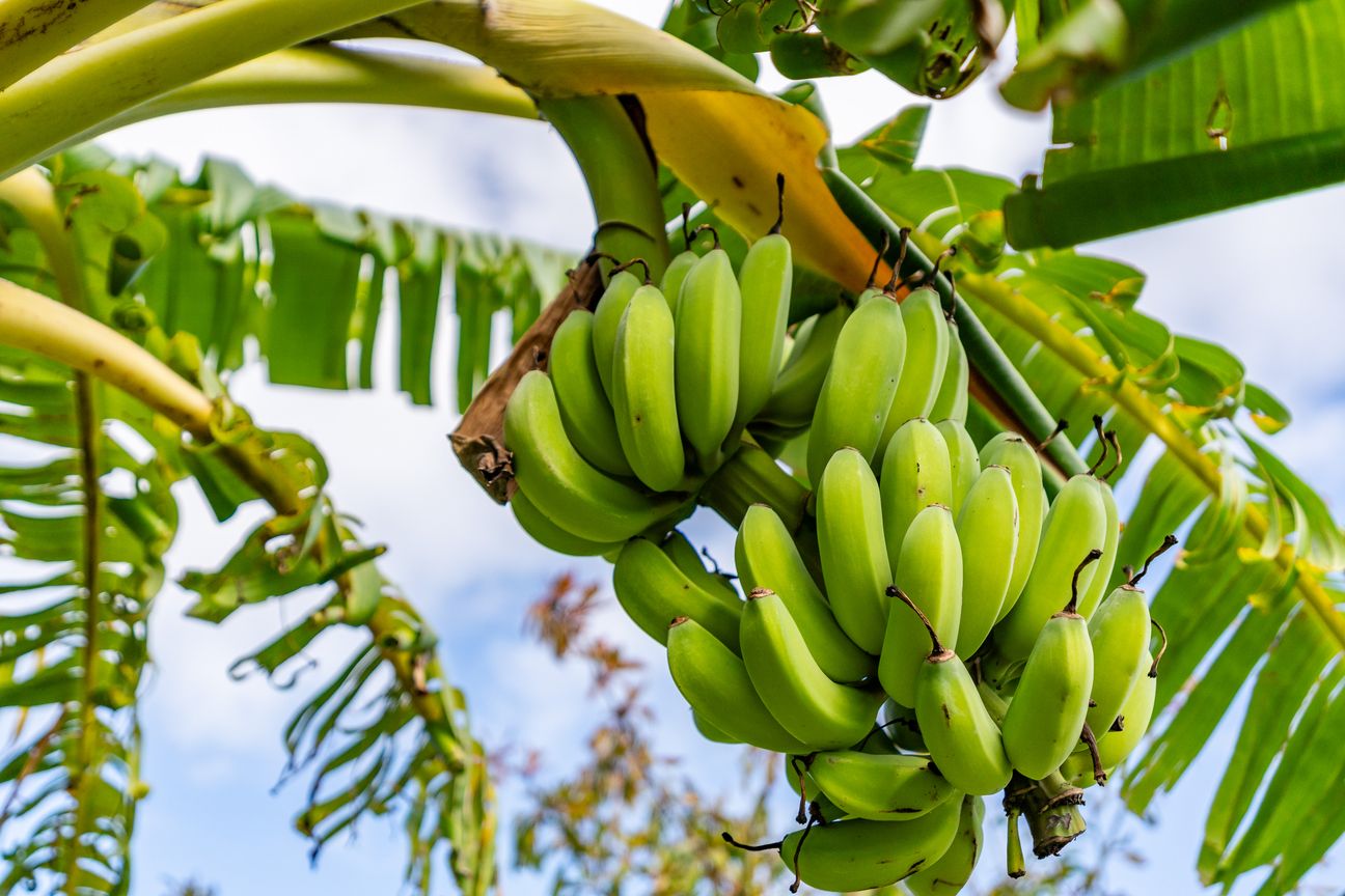 Winter Warmth & Rural Views - Vista 3
