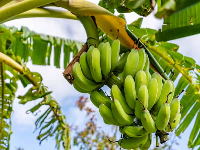 1 Griffin Road, Maungaturoto