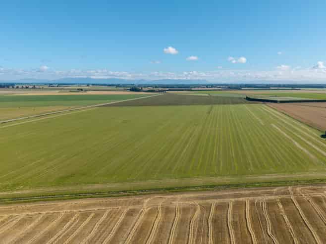 197 Tinwald Westerfield Mayfield Road, Tinwald