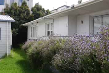 91 Taikata Road, Te Atatu Peninsula