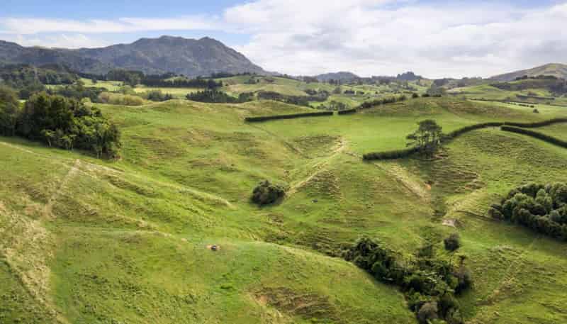 58 Deam Road, Waihi