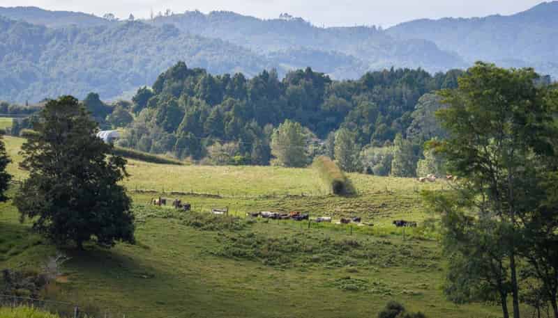 58 Deam Road, Waihi