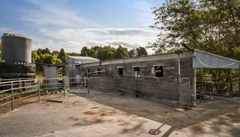 58 Deam Road, Waihi