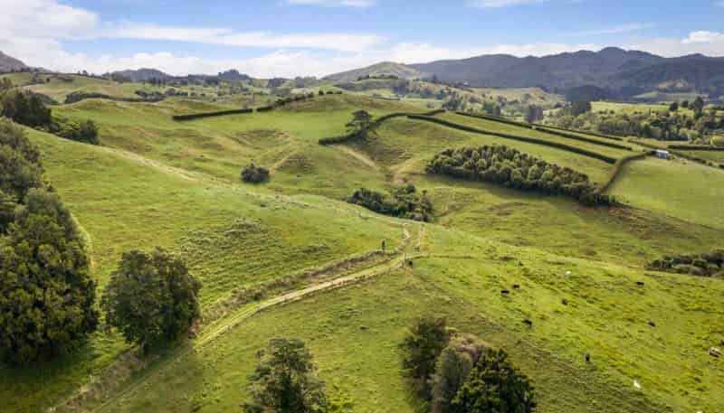 58 Deam Road, Waihi