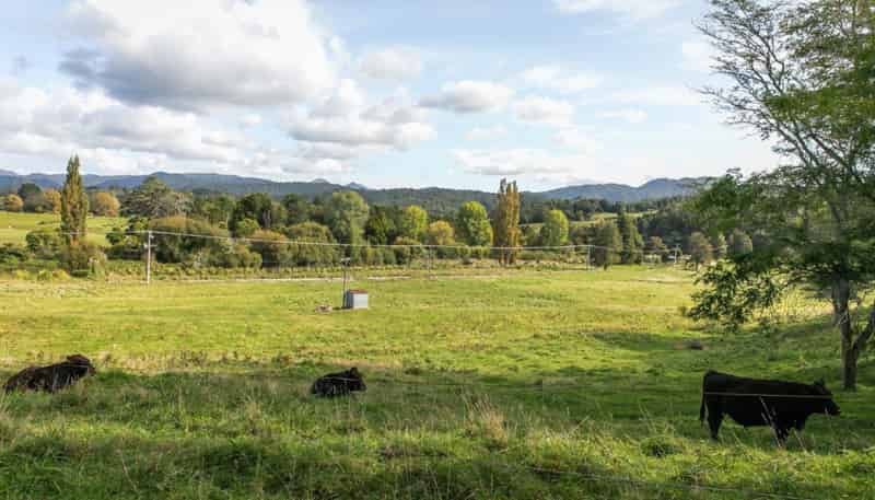 58 Deam Road, Waihi