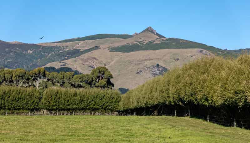 Lot 1, Old Tai Tapu Road, Tai Tapu