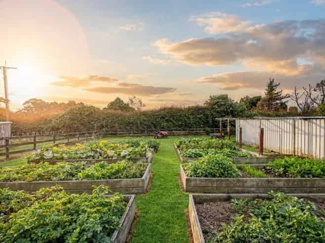 1/3116 Ohaupo Road, Glenview