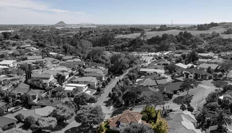 22 Adler Drive, Ohauiti