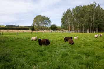 657 Domett Road, Cheviot