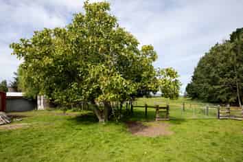 657 Domett Road, Cheviot