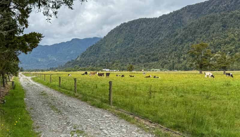221 Docherty Creek Rd and Waiho Flat Road , Franz Josef Glacier