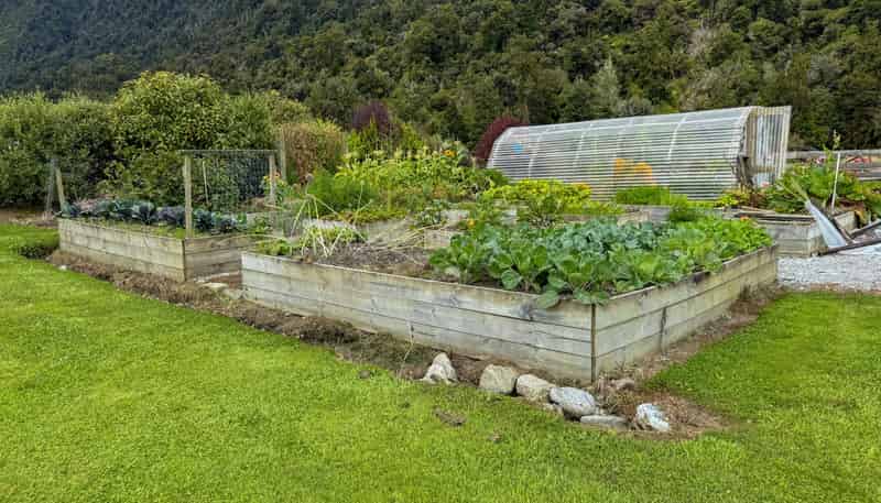 221 Docherty Creek Rd and Waiho Flat Road , Franz Josef Glacier