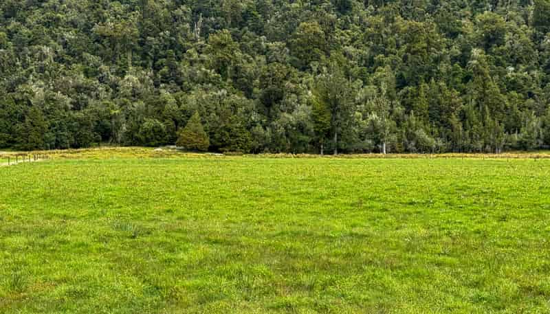 221 Docherty Creek Rd and Waiho Flat Road , Franz Josef Glacier