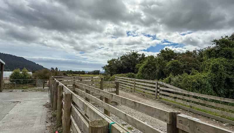 221 Docherty Creek Rd and Waiho Flat Road , Franz Josef Glacier