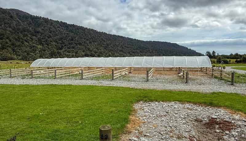 221 Docherty Creek Rd and Waiho Flat Road , Franz Josef Glacier