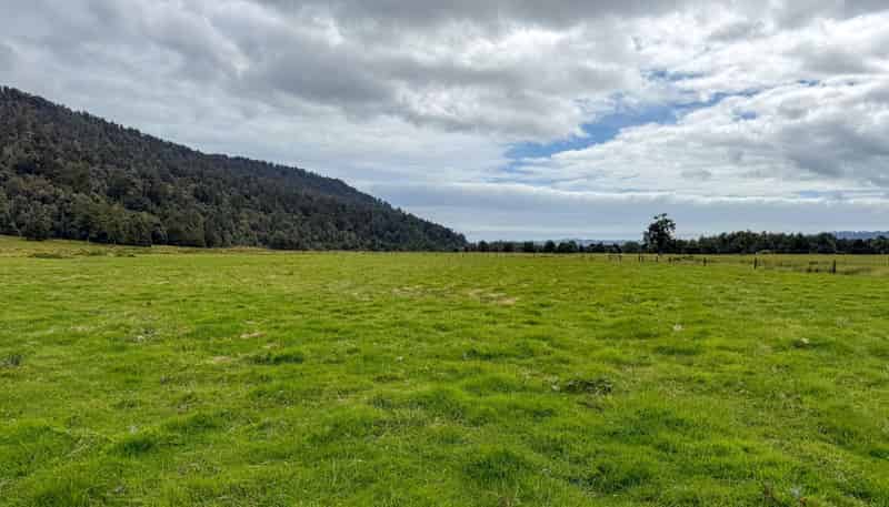 221 Docherty Creek Rd and Waiho Flat Road , Franz Josef Glacier