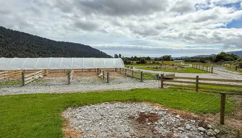 221 Docherty Creek Rd and Waiho Flat Road , Franz Josef Glacier