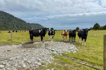 221 Docherty Creek Rd and Waiho Flat Road , Franz Josef Glacier