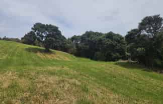 216 Three Oaks Drive, Dairy Flat