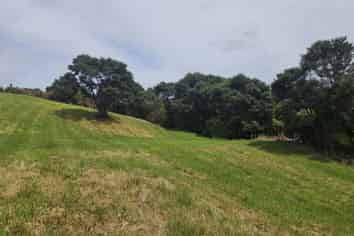 216 Three Oaks Drive, Dairy Flat