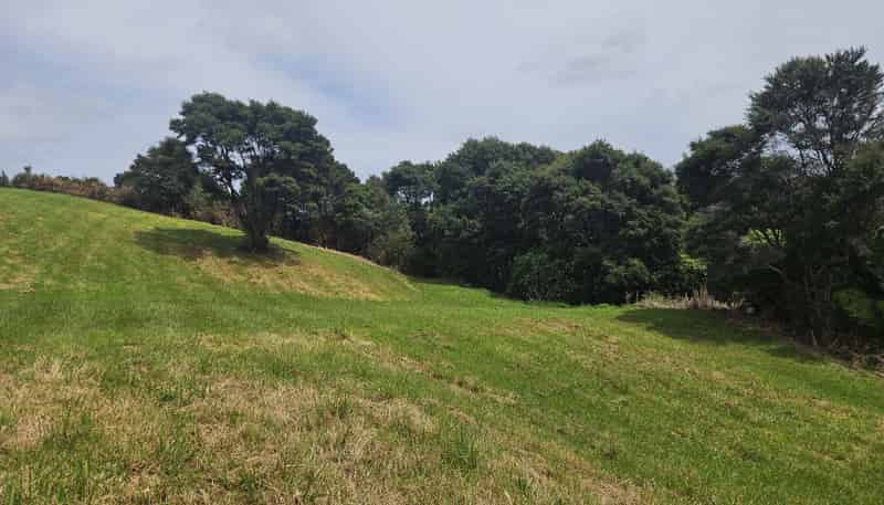 216 Three Oaks Drive, Dairy Flat