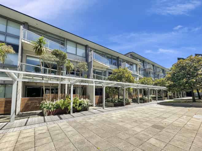 S105/28 Torrens Terrace, Te Aro