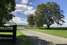 1710 Ealing Montalto Road, Mayfield, Ashburton, Canterbury