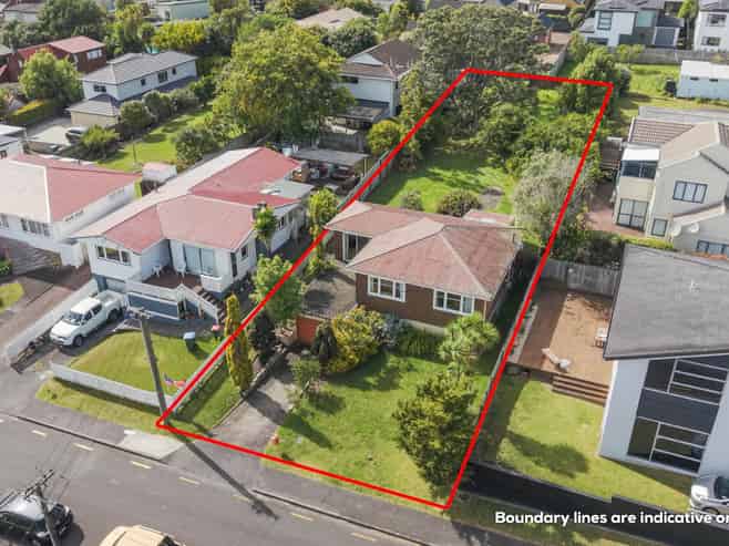 3 Linden Street, Mount Roskill