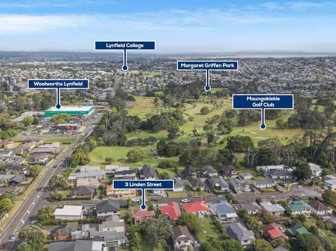 3 Linden Street, Mount Roskill