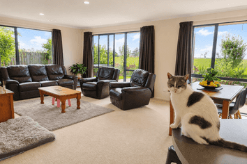 41B Springs Road, Parakai, Helensville