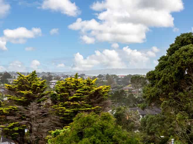 51 Carlisle Road, Torbay