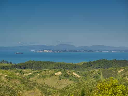 438 Tangoio Settlement Road, Tangoio