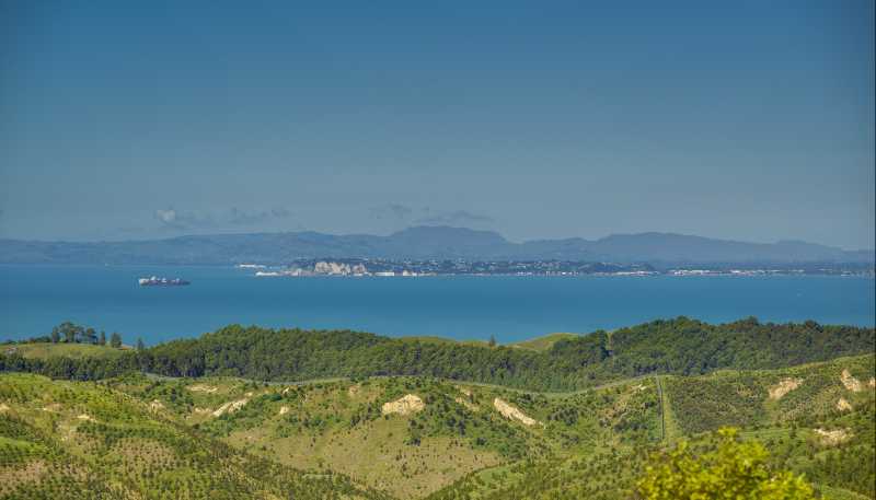 438 Tangoio Settlement Road, Tangoio