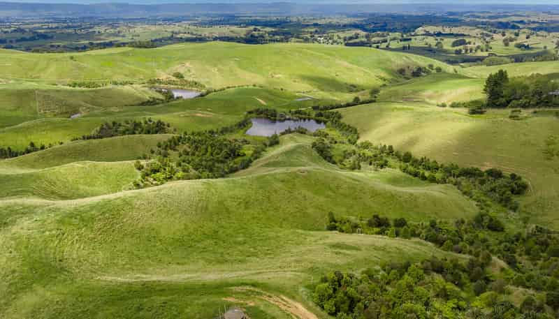 Lot 2, 205 Oliver Road, Cambridge