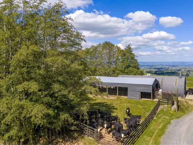 Lot 2, 205 Oliver Road, Cambridge