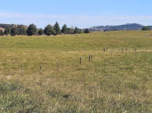 1209 Taniwha Road, Waerenga