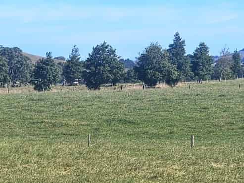 1209 Taniwha Road, Waerenga