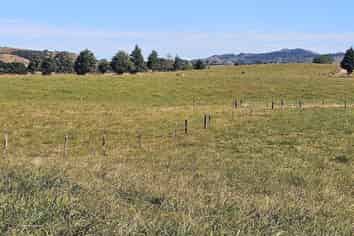 1207 Taniwha Road, Waerenga
