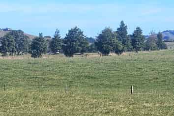 1207 Taniwha Road, Waerenga