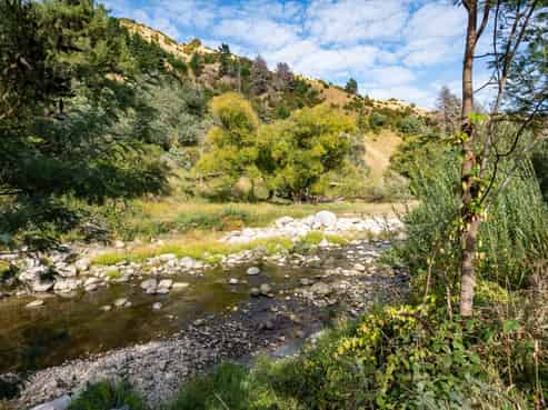 1845 Dovedale Road, Woodstock