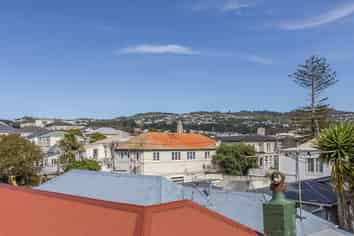 69D Elizabeth Street, Mount Victoria