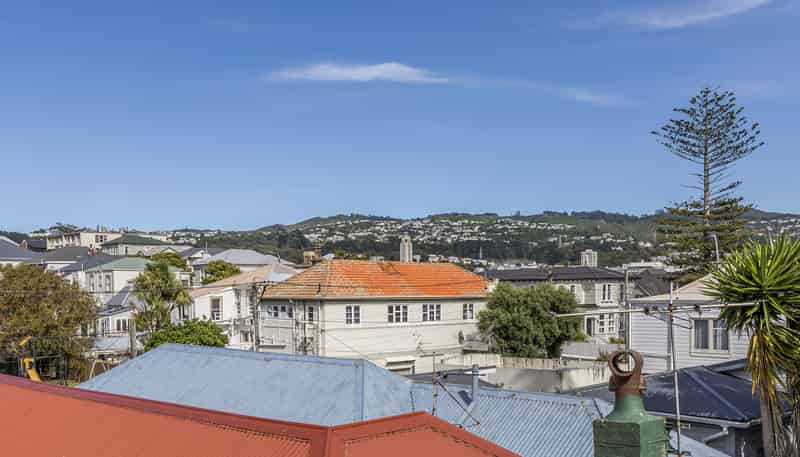 69D Elizabeth Street, Mount Victoria