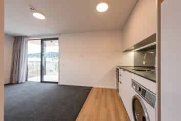 102A/82 Rugby Street, Mount Cook