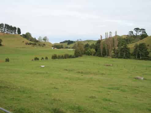 292 Gordon Road, Toko