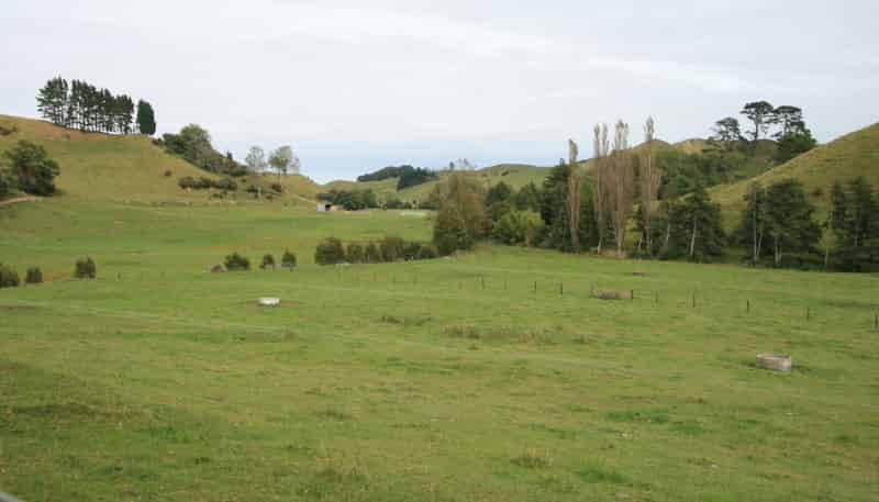 292 Gordon Road, Toko